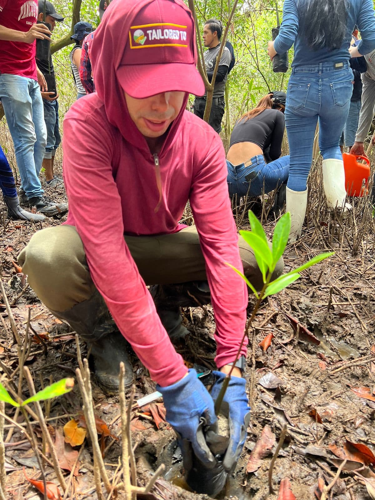 Voluntario sembrando mangle en jornada comunitaria