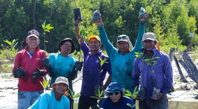 Comunidad sembrando mangle en la ciénaga