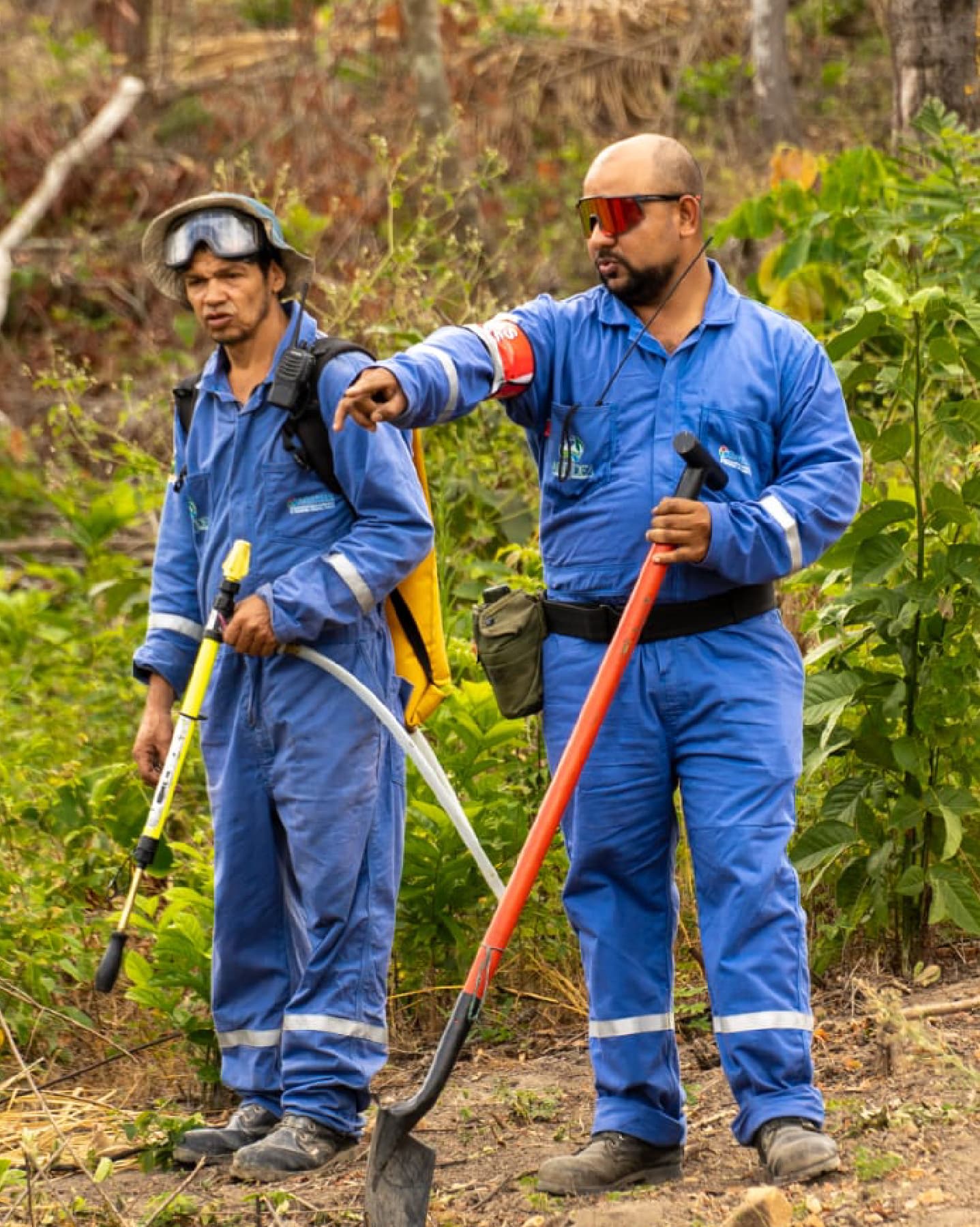 Trabajadores en jornada de reforestación