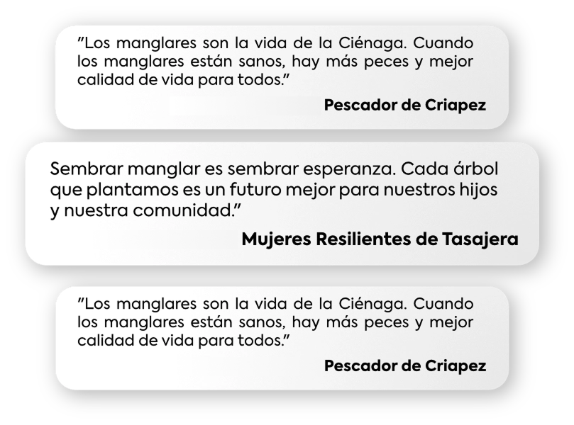 Comentarios de la comunidad sobre el programa Adopta un Manglar