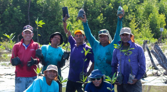Comunidad sembrando mangle en la ciénaga